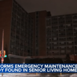 copper thief found in building